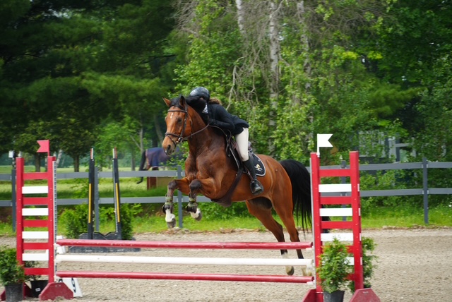 Show jumping photo by Kassandra
